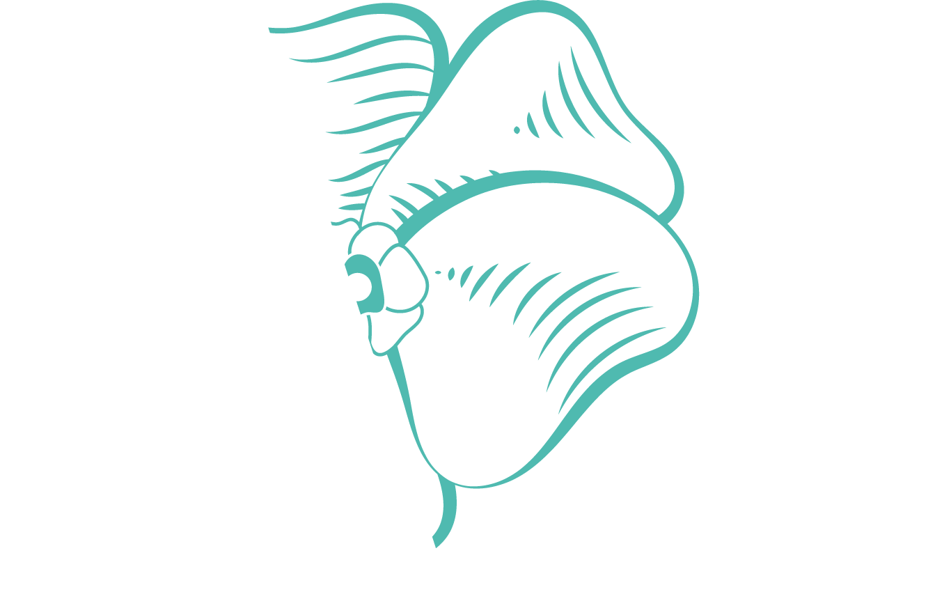 A Allen Design logo